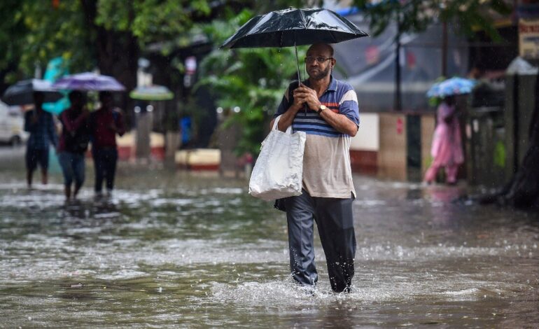 Heavy Rain Likely in Odisha as Fresh Low-Pressure Area Forms Over Bay of Bengal